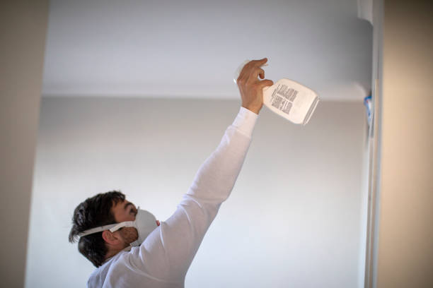 Best Mold Removal Near Me  in Forestville, MD