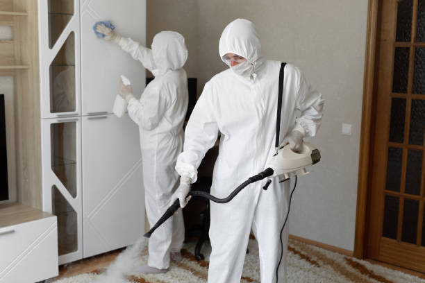 Attic Mold Removal in Forestville, MD