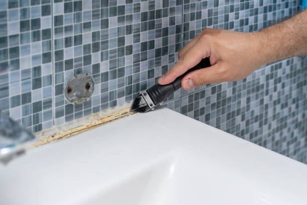 Best Home Mold Removal  in Forestville, MD